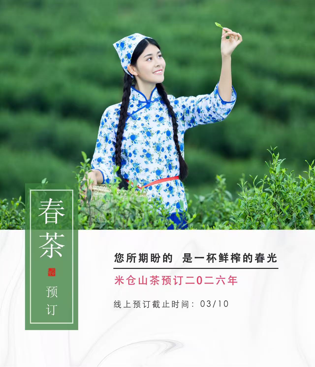 2026年春茶预定金